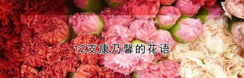 康乃馨之美（康乃馨的深刻含义及花语解析）