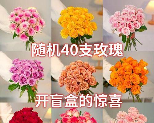 玫瑰花语颜色代表什么（探索玫瑰花语的神秘世界）