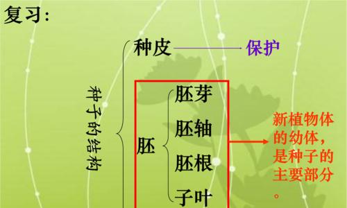 山楂种子的种植方法（从选种到成活）