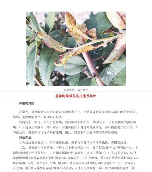 生菜病毒病的症状、危害及防治措施（生菜病毒病的症状）