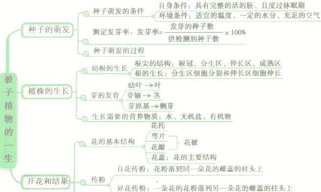 小白菜种子催芽方法（以水泡种和温水浸种为主）