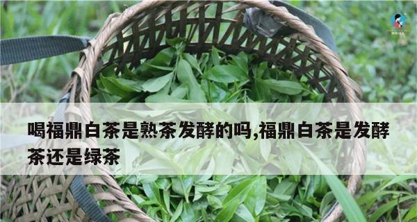 白茶的保存方法和时间（如何正确保存白茶）