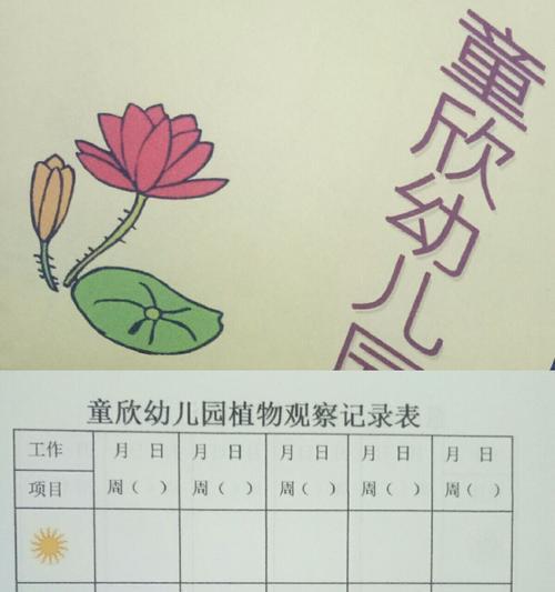 百万小玲的种植方法与时间（学会百万小玲的种植技巧）