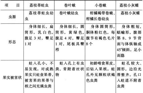 百香果病虫害的防治技术与方法措施（保障百香果健康成长的有效手段）