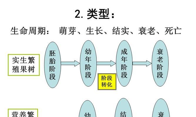 果树浇水要领（春夏秋冬）