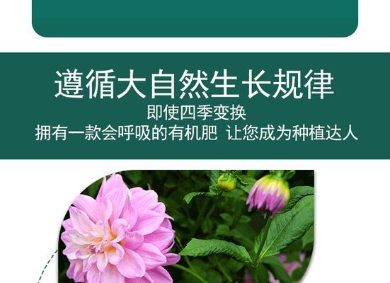 果树肥料的选择与施用（如何选择合适的果树肥料）