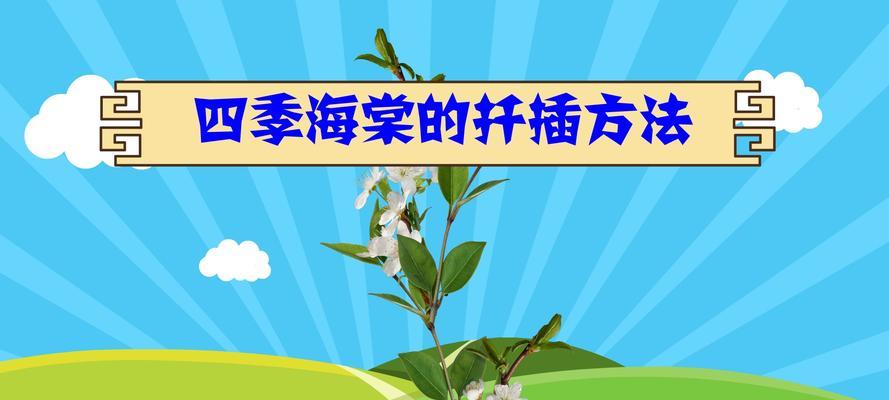 海棠花水培栽培方法详解（教你如何用水培方式种植海棠花）