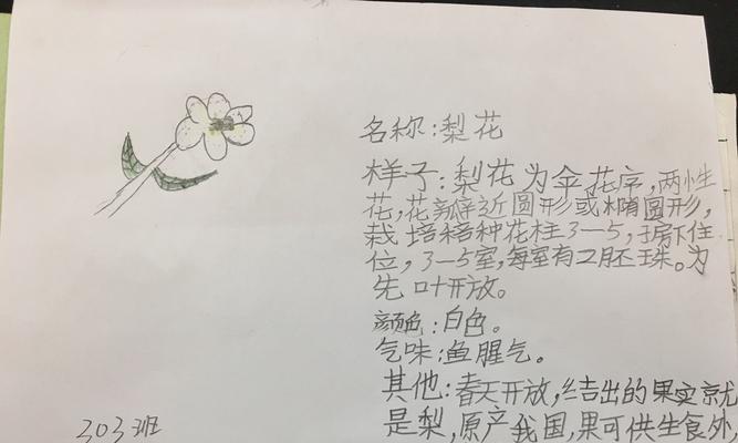 海棠花摘心打顶全攻略（海棠花栽培技巧详解）