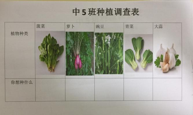 黑豆种植全攻略（时间）