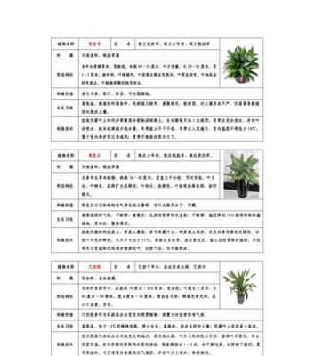 草本植物的分类及特点（探索自然世界中多样的草本植物种类与特征）