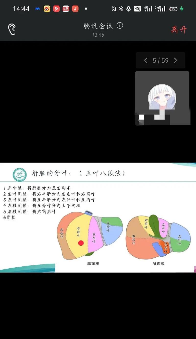 如何正确摘取满天星的花心并打顶（摘心打顶时间与方法详解）