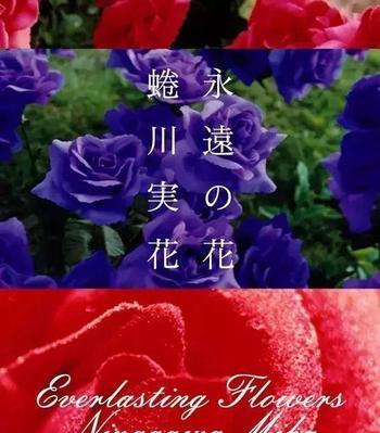 玫瑰的花语（探寻玫瑰花背后的花语与象征）