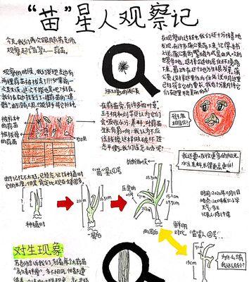 毛汉尼配土方法与种植土壤的科学研究（创新配方改良土壤全面提高农作物产量与质量）