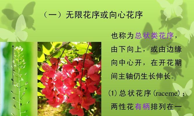 深入了解有限花序中的“桃花”（探究桃花的花序类型和特征）