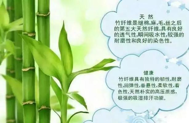 淘米水可以浇竹子吗（一篇指导竹子浇水的实用指南）