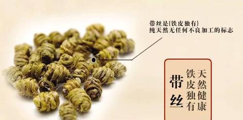 铁皮石斛的药用价值与功效（拥有多重功效）