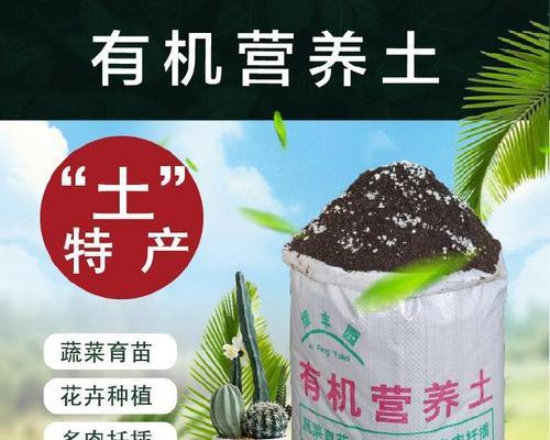 通用营养土的种花之路（简单易行的家庭种植与维护）