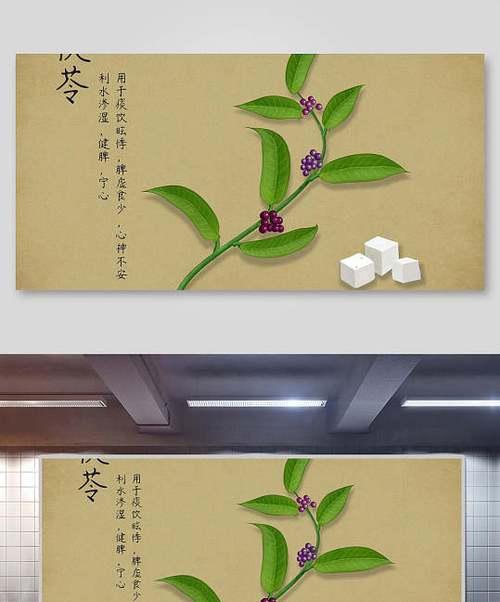 探寻土茯苓的生长周期（从种植到采收）