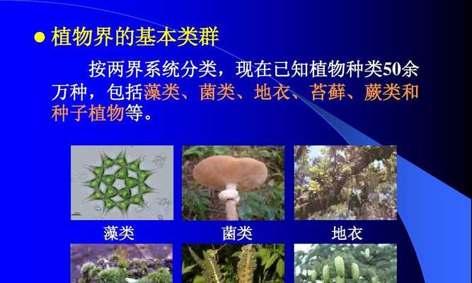 团藻：一种低等植物？