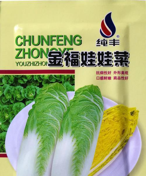 春天种植娃娃菜，让你轻松拥有健康美味