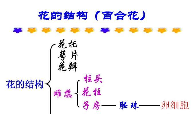 高产百合种植技术与管理方法（培育高产百合）