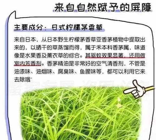 百香果的储存方法（让你的百香果保持新鲜）