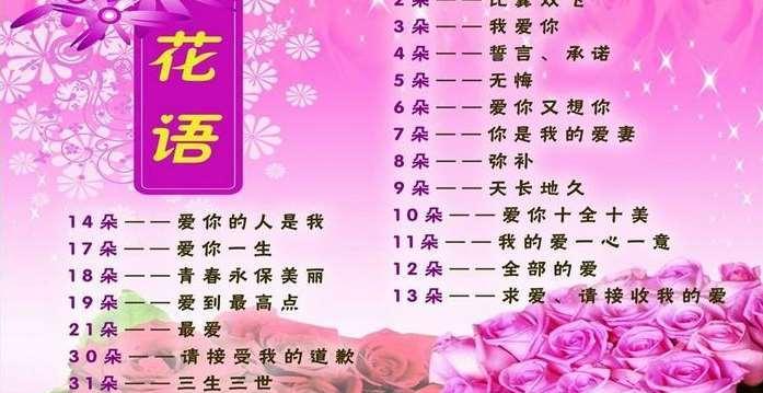 8朵粉玫瑰花的含义——爱情与浪漫的象征（探寻粉玫瑰花语）