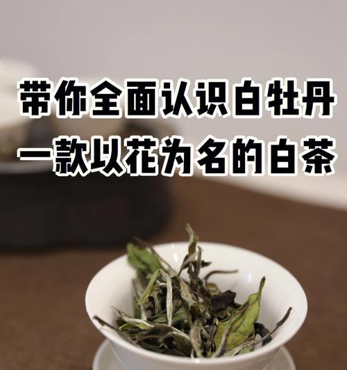 白茶花的花语与寓意（探秘白茶花的神秘世界）