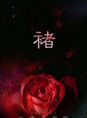 黑色玫瑰花语（黑色玫瑰的花语意义及文化背景解读）