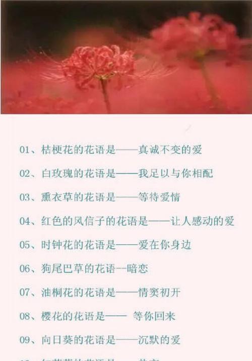 绣球花的花语与寓意——传递美好与祝福（绣球花的花语和寓意解读）