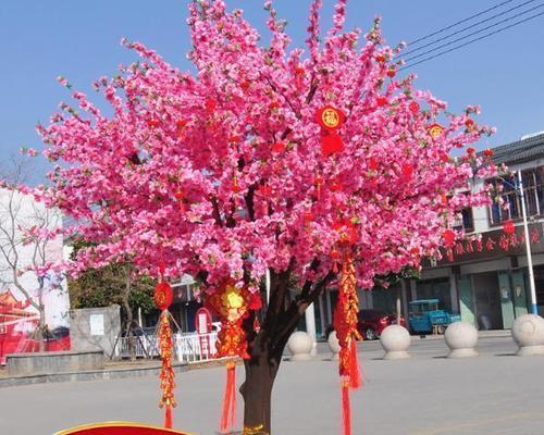 寻访许愿树（探索树木魅力的神奇之旅）