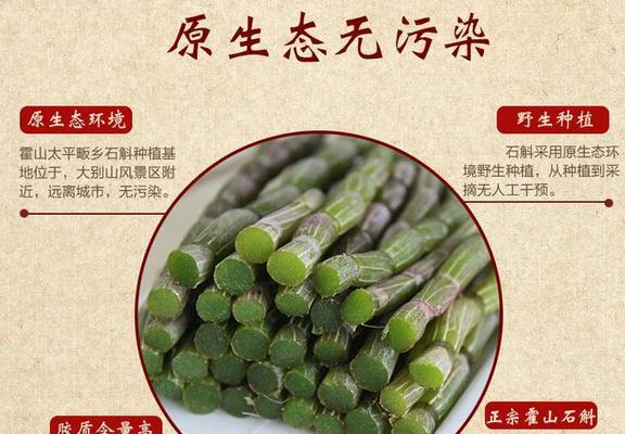 枫斗的神奇功效与多样食用方法（探秘枫斗）