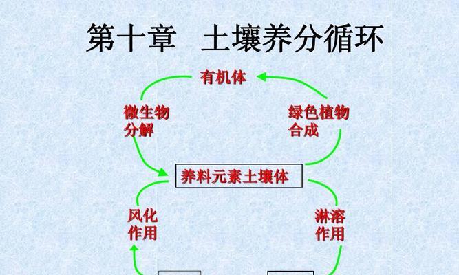 枫树的配土方法及种植土壤（打造适合枫树生长的土壤）