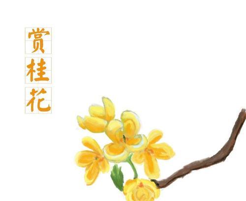 桂花之意（香气扑鼻芬芳无限）