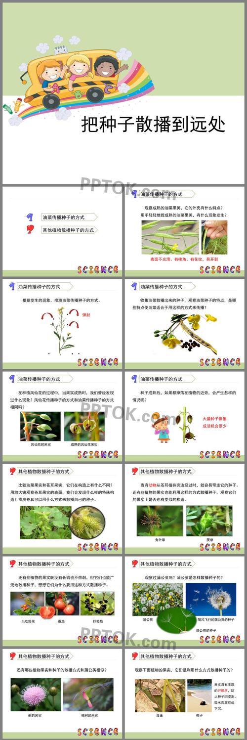 福果精灵的养殖全攻略（从种植到收成）