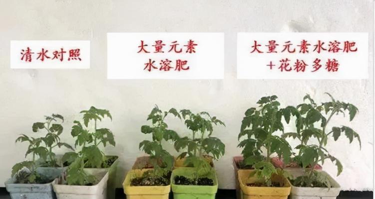 动物肉能用作肥料吗？如何正确处理动物肉残渣？