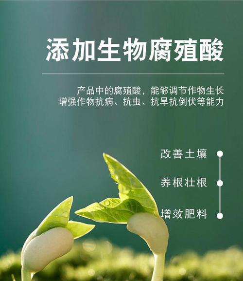 豆浆渣能用作肥料吗？如何正确使用豆浆渣作为植物肥料？