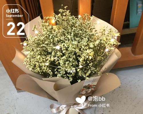 水晶草的花语是什么？了解其独特含义和象征意义