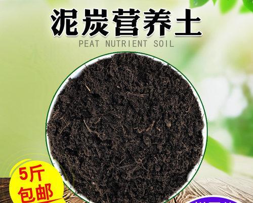 多肉植物配土方法是什么？种植土壤如何选择？