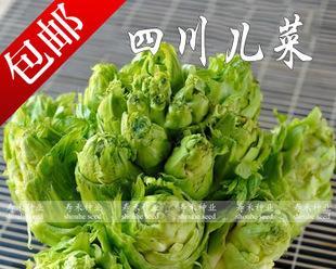 儿菜一年四季都能种吗？一年能种几茬儿菜？