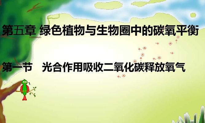 二氧化碳对植物的作用是什么？它如何影响植物生长？