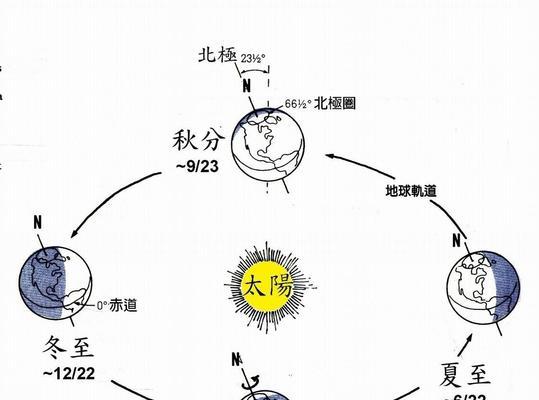 发财树分株移植的最佳时机是什么时候？具体步骤有哪些？