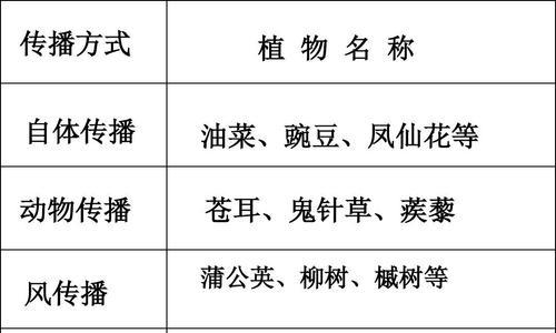 非洲菊种子播种的最佳时间是什么时候？播种后需要注意哪些事项？