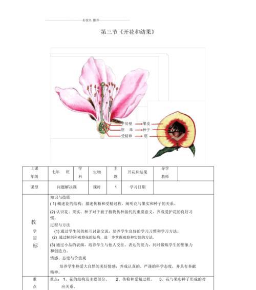 粉龙叶子卷曲了怎么办？找出原因并解决的方法是什么？