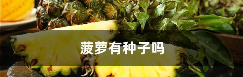 凤梨种子种植方法是什么？如何确保高成功率？