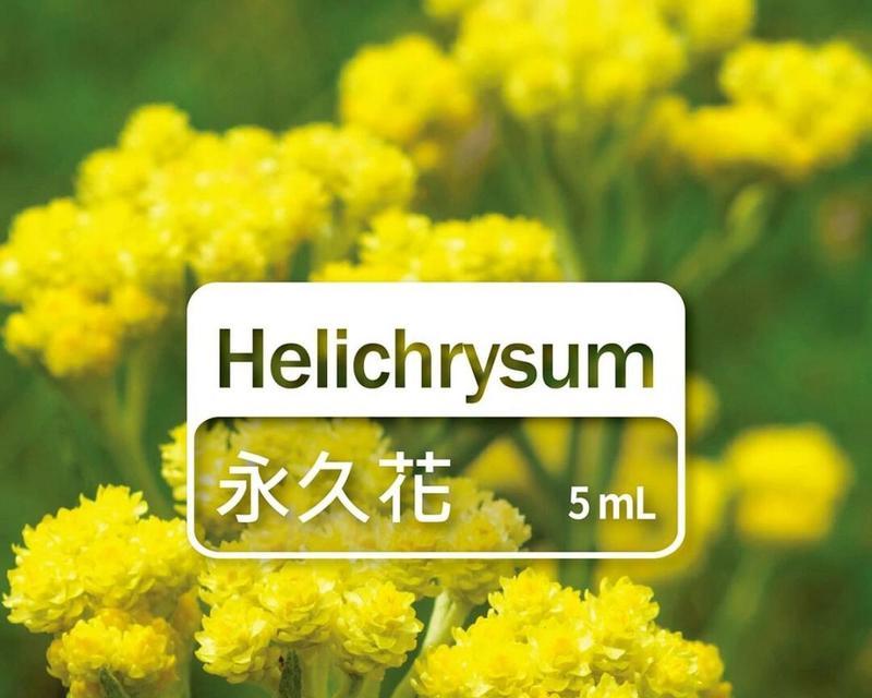 什么花代表着永不再见的花语？这种花的含义是什么？