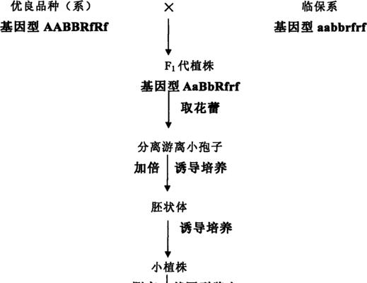 甘蓝留种和催芽种植方法有哪些常见问题？