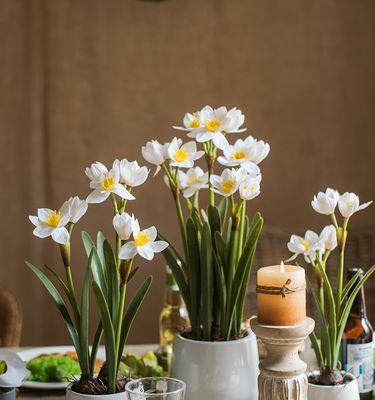 水仙花期通常是什么时候？如何延长水仙的花期？