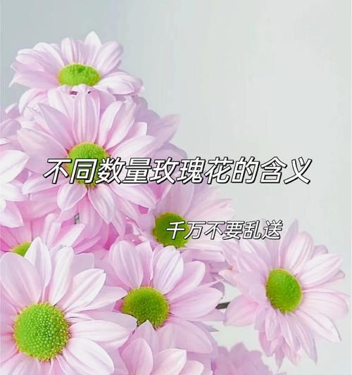 1173朵玫瑰花代表什么含义？这个数字的玫瑰花有何特殊意义？