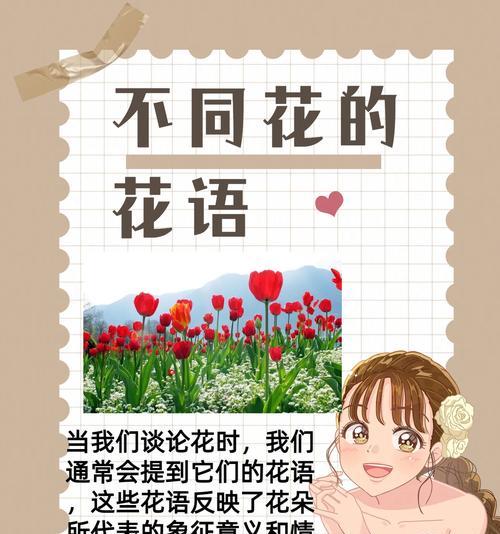 百合与玫瑰的花语和寓意是什么？有何不同？